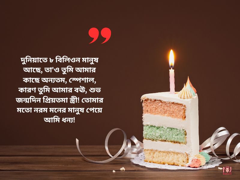 শুভ জন্মদিন প্রিয়তমা স্ত্রী